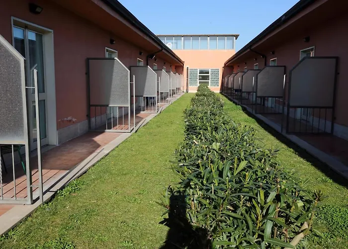 Palacavicchi